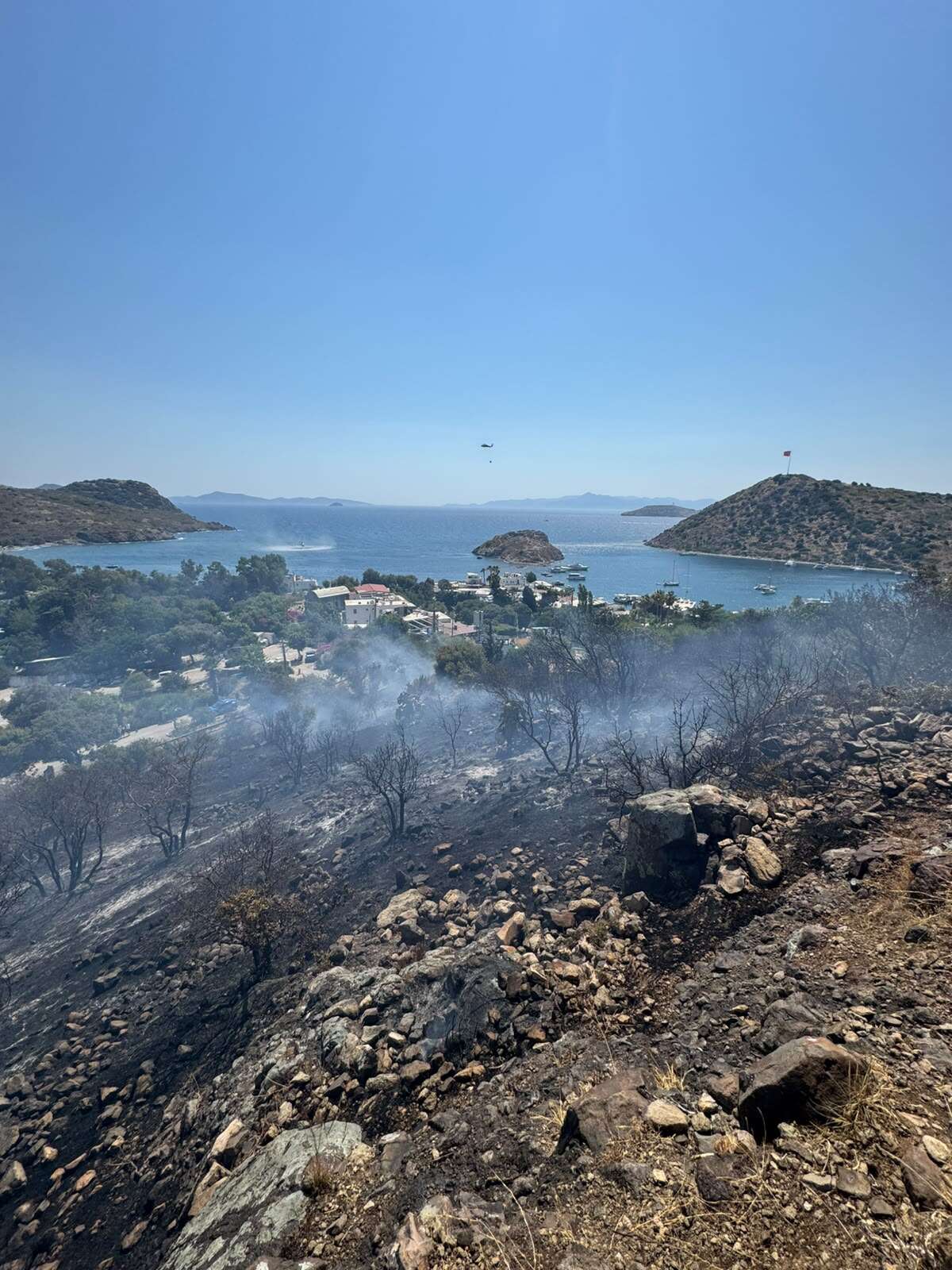Bodrum Gümüşlük'te Yangın Çıktı: Ekipler Havadan ve Karadan Müdahale Ediyor 3